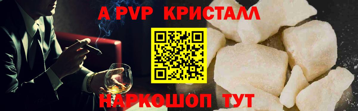 A PVP крисы CK Великий Новгород