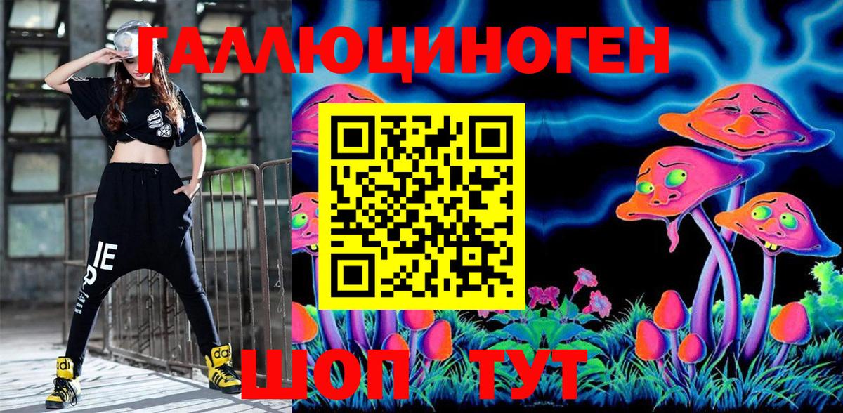 Великий Новгород  Галлюциногенные грибы мицелий  Псилоцибиновые грибы мицелий  где купить   Вход с VPN 
