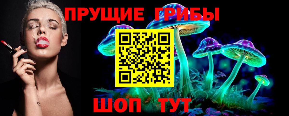 Псилоцибиновые грибы Psilocybine cubensis Великий Новгород